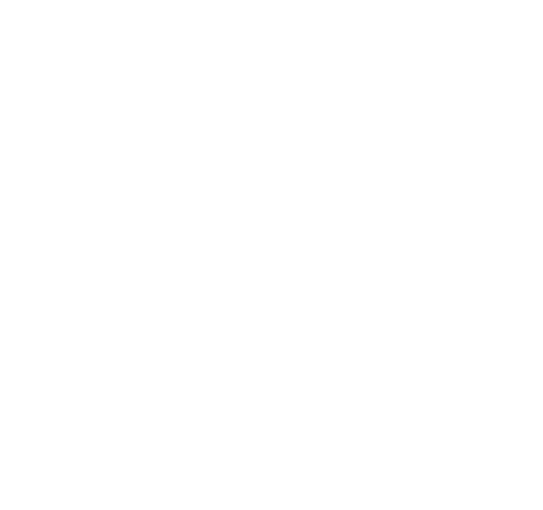 株式会社 Security Of NewYork
